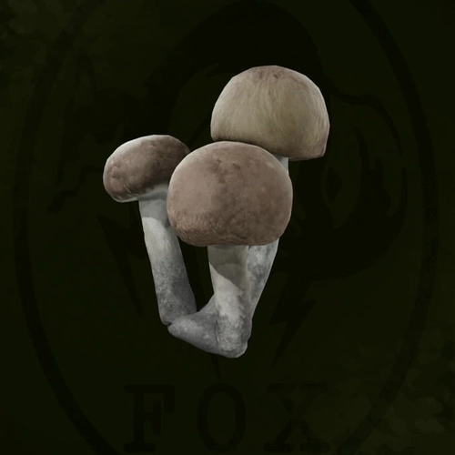 メタルギアデルタ_シベリアヒトヨタケ_アイコン